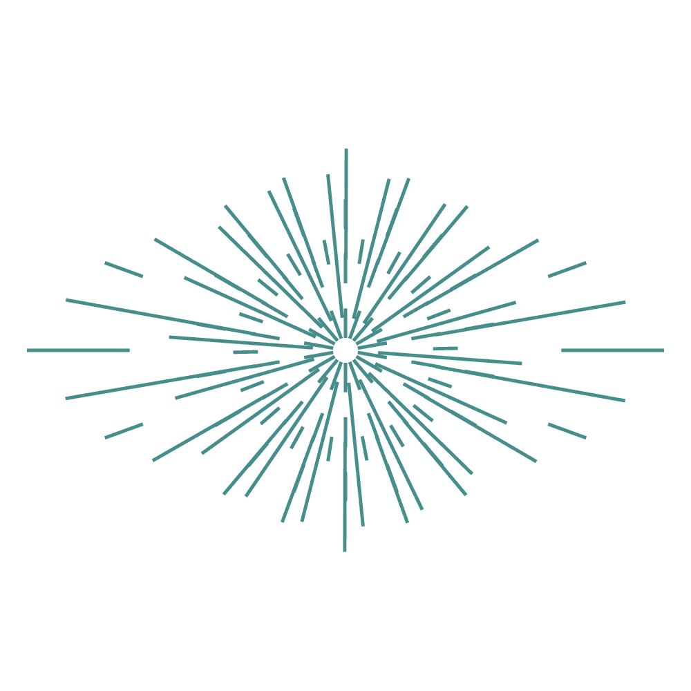 Strategic Compliance Consulting